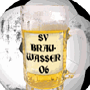 2006 - 2009 Leipziger SV Brauwasser 2